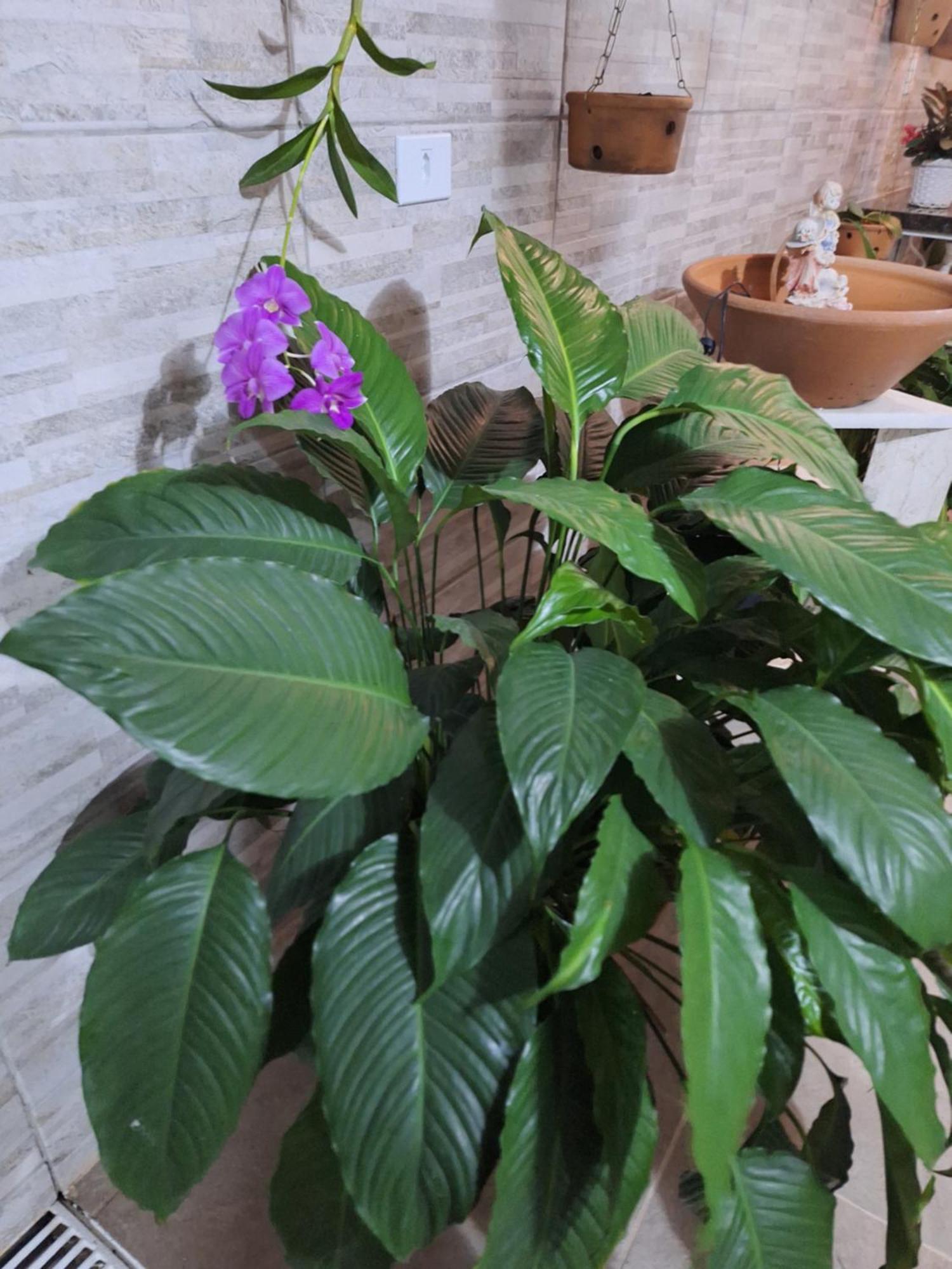 Cantinho Da Paz Niteroi Bilik gambar